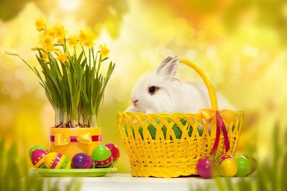 

200cm*150cm easter photography backdrops Egg dishes basket photo frame Easter Sunday ZJ