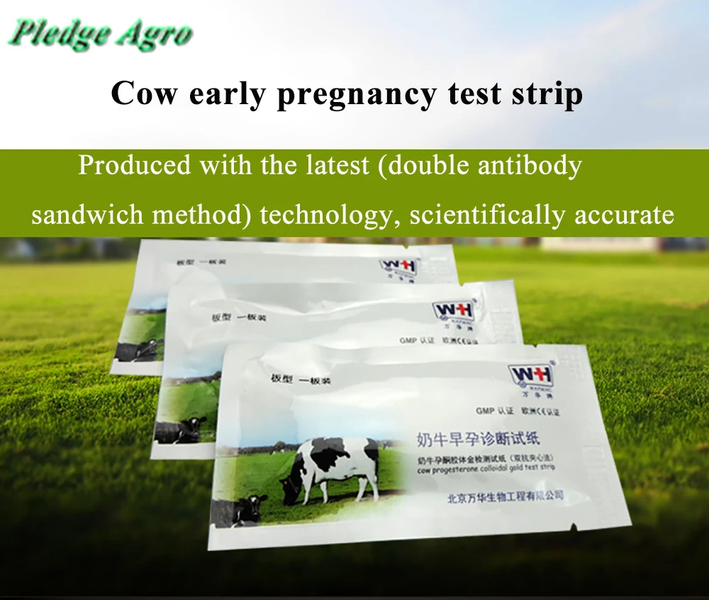 Pig Pregnancy Test Paper Diagnostic Pregnant Detection Livestock