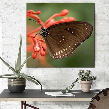 

paint by number art painting by numbers Realistic insects, pansy, decorative painting, adult hand-painted decompression