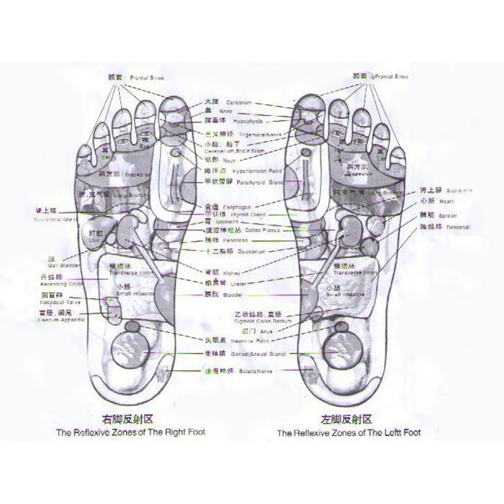 MQ-Walk-Stone-Reflexology-Foot-Massage-Mat-Pad-Pain-Relieve-Relief-Walk-Massager-Health-Care-Acupressure (5)