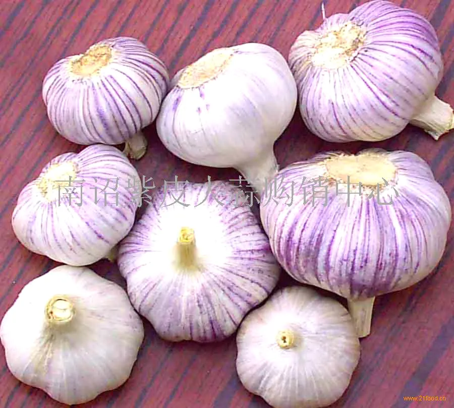 100 Pcs / Bag Sterilization Vegetable Seeds Giant Garlic China Green Onion Tasty Leek Seeds Big Potted Onion Garden Bonsai Plant