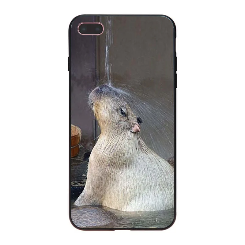 MaiYaCa Animal Funny Capybara Специальное предложение Роскошный чехол для телефона iPhone 8 7 6 6S Plus X XS XR XSMax 5 5S SE Coque Shell - Цвет: 3