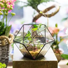 Modern Tabletop Cuboctahedron Geometric Glass Terrarium Succulent Planter Plant Terrarium Box Gardening Decorative Flower Pot