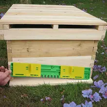 Пластиковые слайды Тип улей двери прочный пчелиный анти-побега двери охранная сигнализация для пчеловодства инструмент улей коробка с пчелами вход