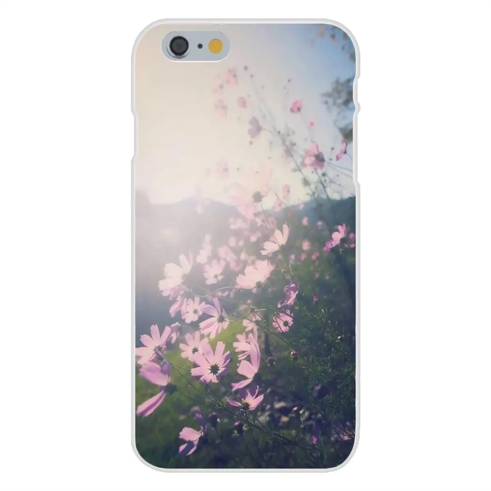 20160108210033_XUG24.thumb.700_0