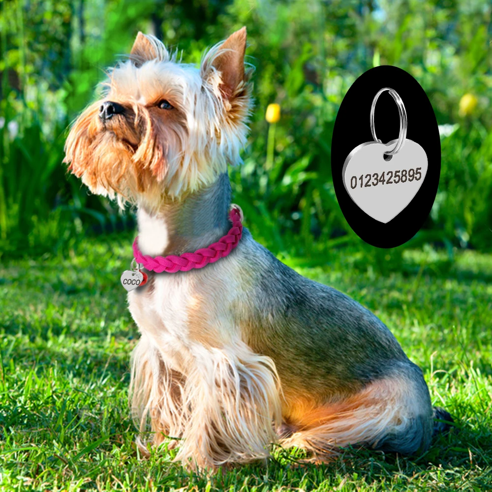 Title 11, Custom Dog Cat Collar Suede Leather Personalize...