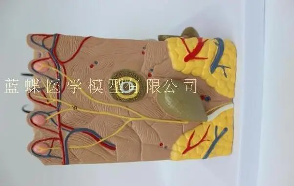 QQ20180918212045