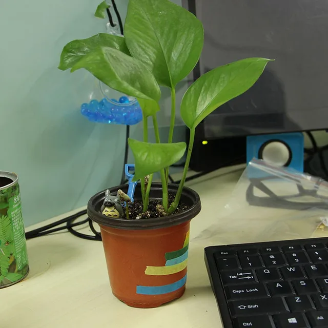 Aliexpress Whole Flower Pots Mini Flowerpot Garden Unbreakable Plastic Nursery Light Thin 20 Pcs From Reliable Aliexpress Whole Flower Pots Mini Flowerpot Garden Unbreakable Plastic Nursery Light Thin 20 Pcs From Reliable