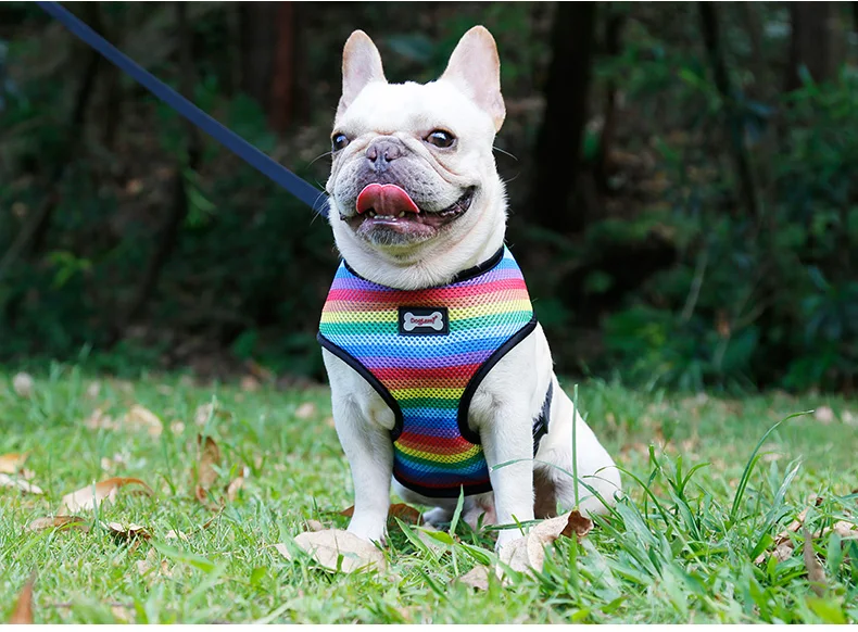 Dog Harness (19)