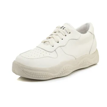 

Early spring in 2019 new product joker with leisure shoes female 29-46