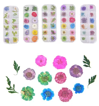 

Flower Mixed Dried Plant DIY Natural Dried Flowers For Epoxy Resin Pendant Necklace Jewelry Making Craft DIY Accessories