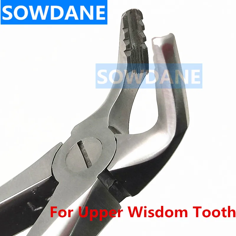 

Higher Stainless steel Dental Adult Teeth Extraction Forcep for Upper Wisdom Tooth Surgical Orthodontic Instrument Tool