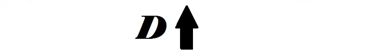 D 4
