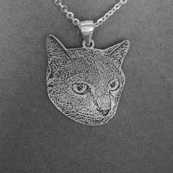 Фото Pet Pengdant пользовательские Цепочки и ожерелья портрет очарование ручной работы Cat картина выгравированы персонализированные Мемориал