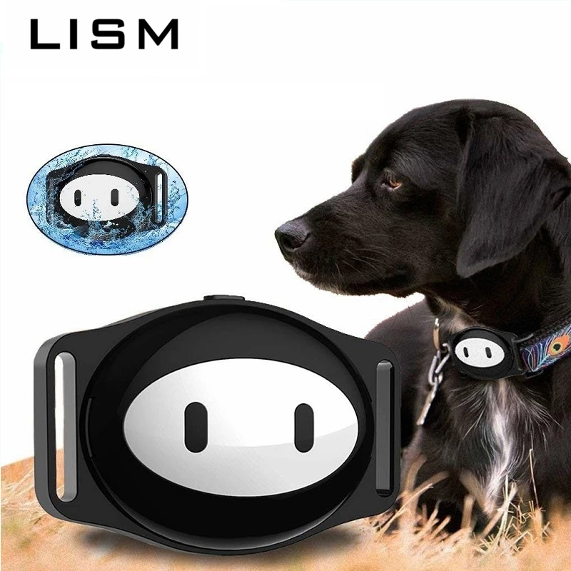 dog collar locator