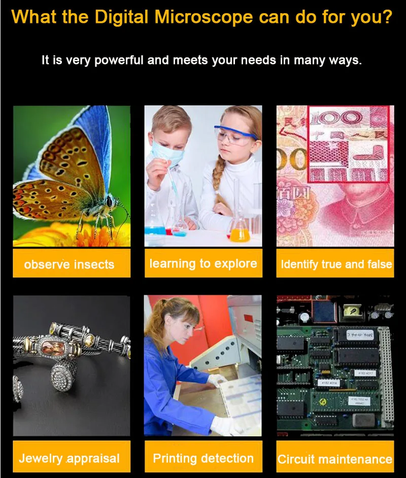 What the Digital Microscope can do for you