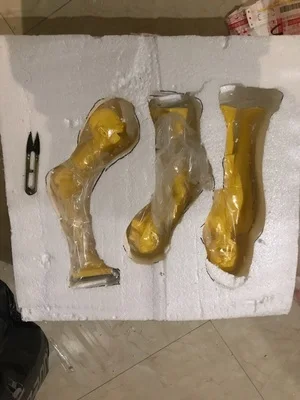 z (6)
