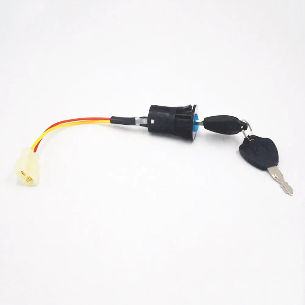 Cheap 48V 2000W electric Motor With Controller throttle key lock kit For Electric Scooter E bike E-Car Engine Motorcycle Part 5