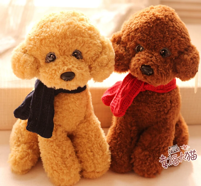 chinese teddy dog