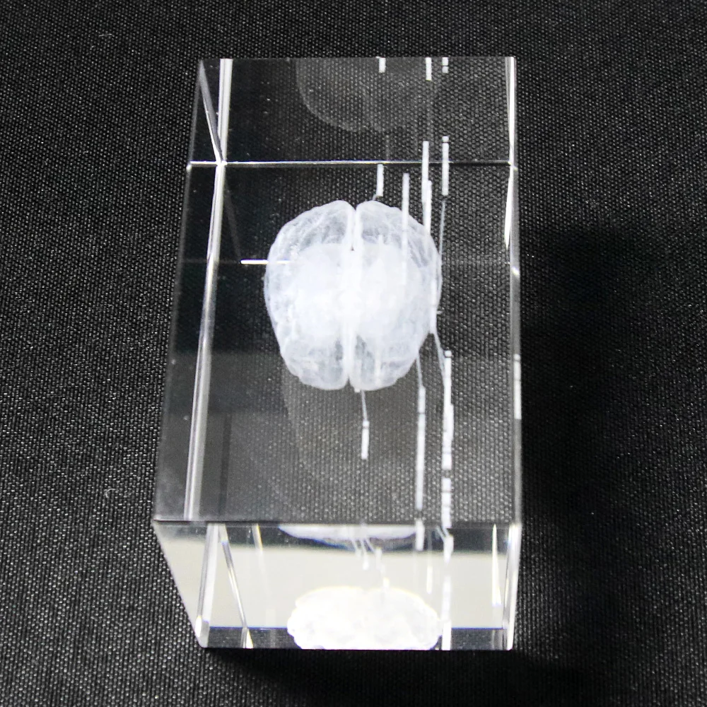 GG-053#S09