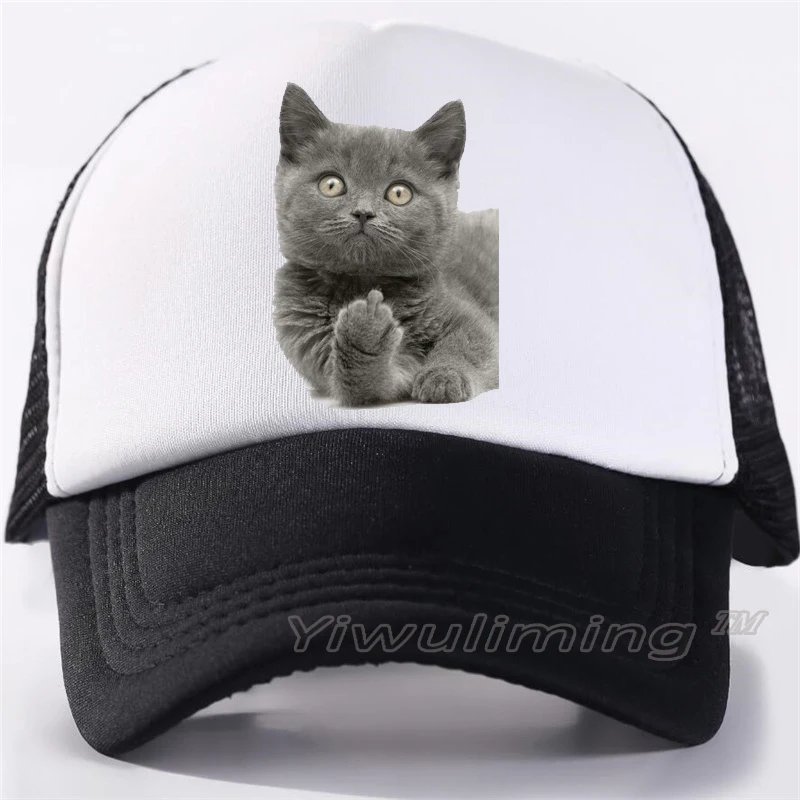 New Summer Trucker Caps British Shorthair Cat Cool Summer Black