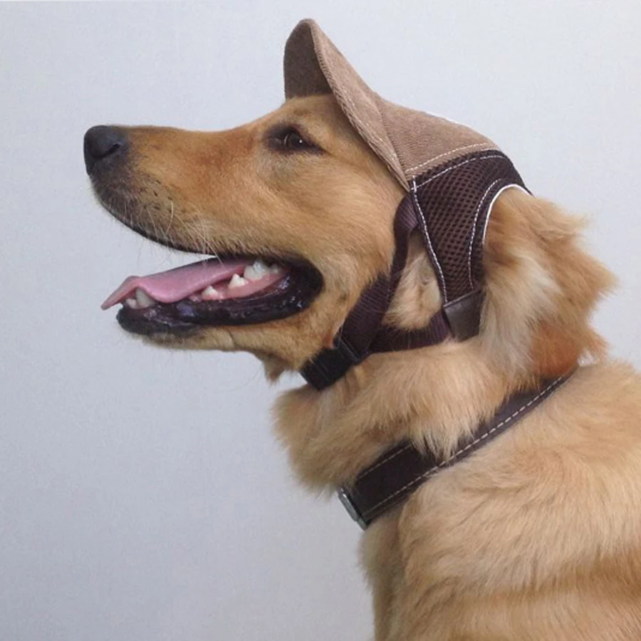 golden retriever 中文 buy wholesale golden retriever accessories from china golden retriever golden retriever 中文 buy wholesale golden retriever accessories from china golden retriever