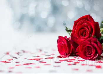 

red roses white natural wood Valentine's day gray bokeh backdrops Vinyl cloth High quality Computer print wall Background