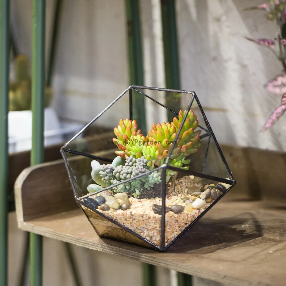 YARNOW Succulents Plant Pot Ceramic Flower Vase Conch Shaped Desktop Planter Rustic Table Vase Centerpiece Dinner Table Decoration for Party House Office Brown YARNOW Succulents Plant Pot Ceramic Flower Vase Conch Shaped Desktop Planter Rustic Table Vase Centerpiece Dinner Table Decoration for Party House Office Brown