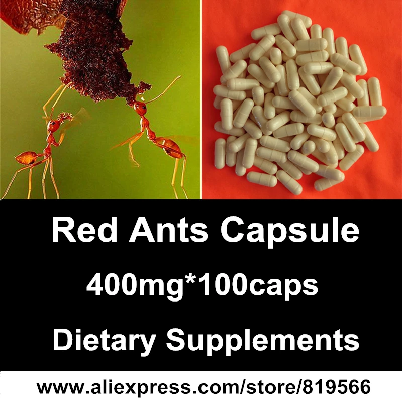 

Wild Red Ants Powder Capsules Chinese Immune Function Health Care Ant Caps Tetramorium sp. Rich Ants Antibiotics