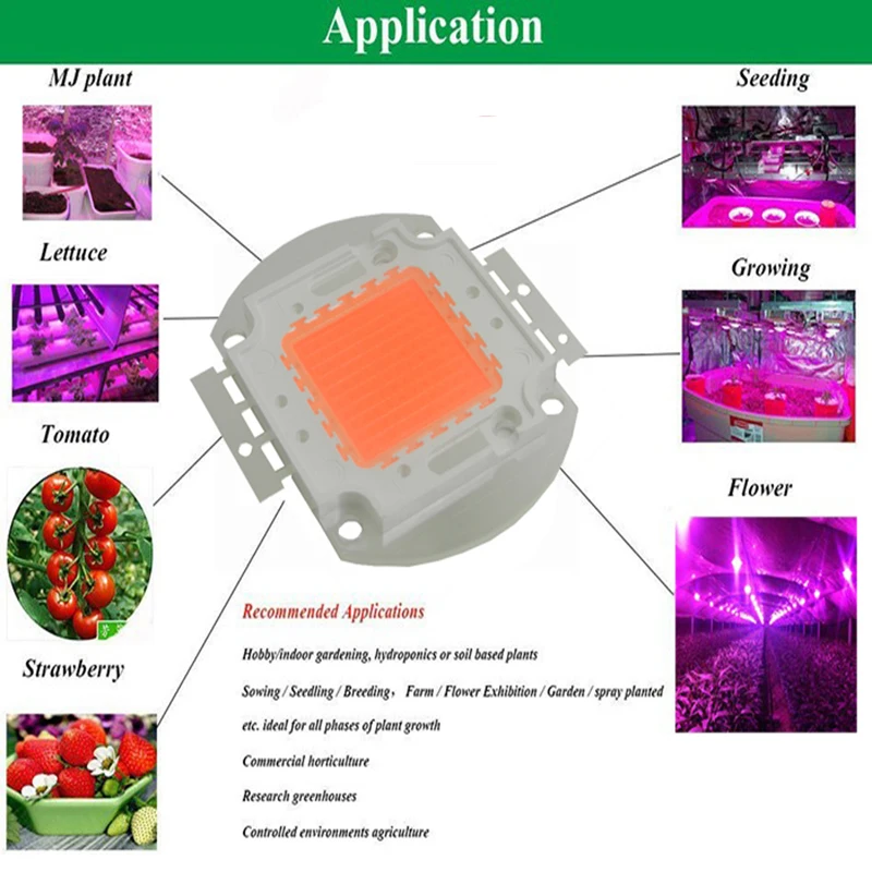 1W-100W LED GROW CHIP-4