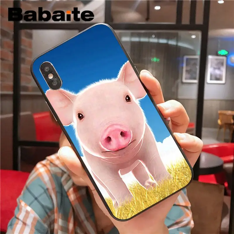 Cartoon Animal Pig