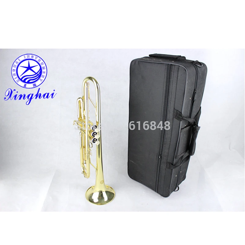 

Trumpet Gold Small Bb Trompete Musical Instrument The For Beginners Bb Trumpet Wholesale The Surface The Paint Of Xinghai XT-120