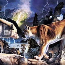 Король зверей претендует на гегемонию DIY живопись по номерам пигмент кисть ручная роспись креативная Цифровая живопись маслом