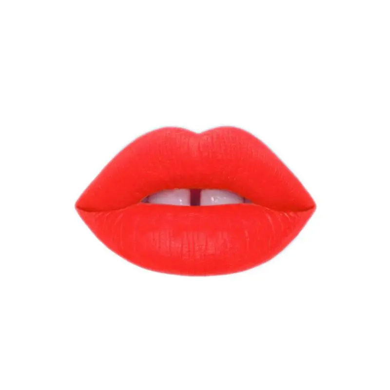 Long Lasting Elegant Liquid Lipstick matte Waterproof smooth Lip Gloss