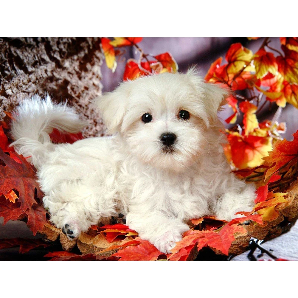 

Diamond Painting Dog Autumn Maple Leaf Diamond Embroidery Animals Picture Beads Painting Rhinestones Hobby Child Gift a672