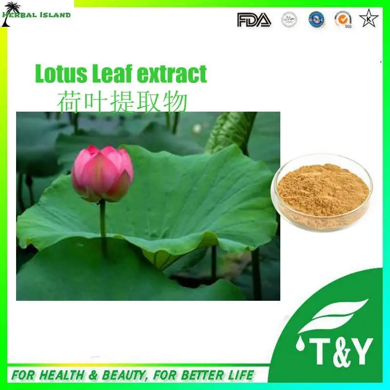 100 Natural flavonoids plant extract lotus leaf extract for loss