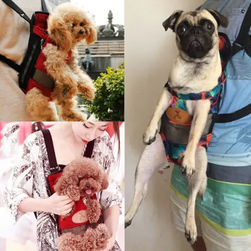 Limit 100 Hot Pets Carrier Backpack Adjustable Pet Front Cat Dog Travel Bag Leg Out S-XL