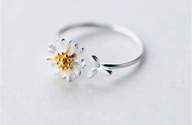 36020181123163031358