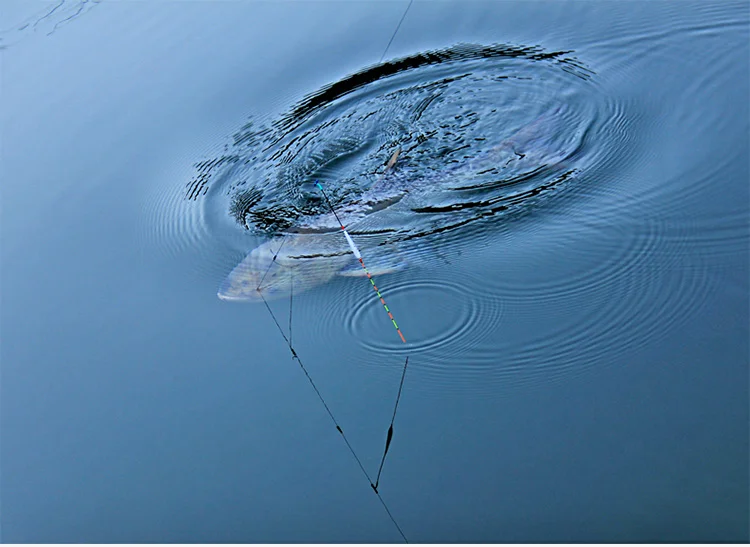 Vara de Pesca Vara de Pesca da Carpa Artes de Pesca Taiwan Carpa - 19 28 Tonalty 6 Super Difícil Mão Olta Preto Pit Peche Canne Pesca 3.6 M-7.2 m da 8 h 19 Varas de pescar