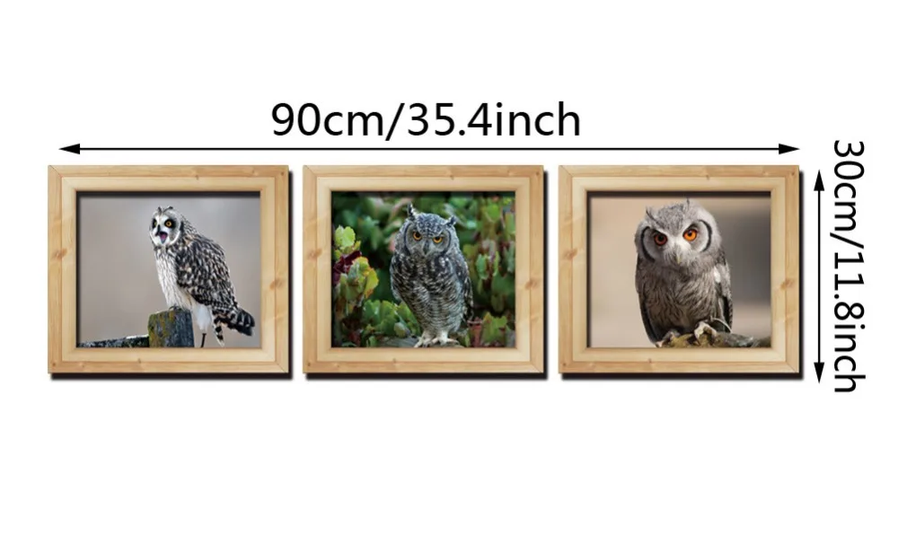 2511275718_1929931971