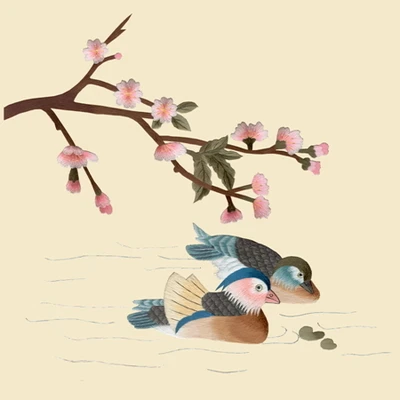 DIY шелк тутового шелкопряда Сучжоу наборы для вышивки напечатанные картины, комплекты для рукоделия птицы, рыбы и цветы - Цвет: 30x30cm