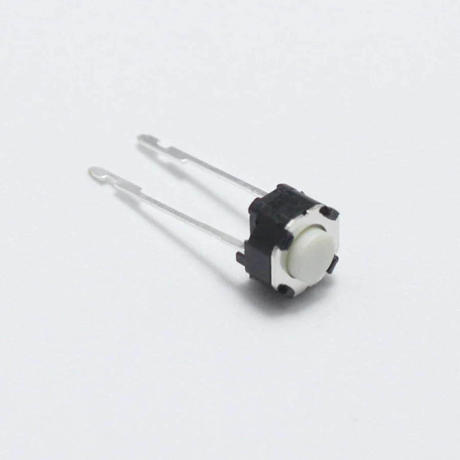 IMG_0520