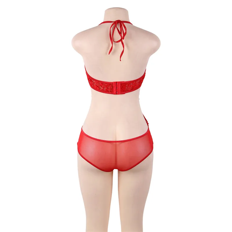 R80679-2 (5)