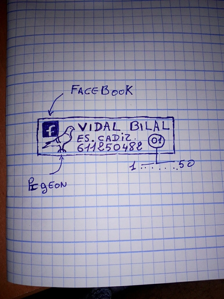 Голубь учебные материалы алюминиевые кольца по индивидуальному заказу