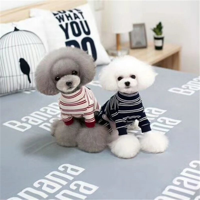 dog clothes winter (3)