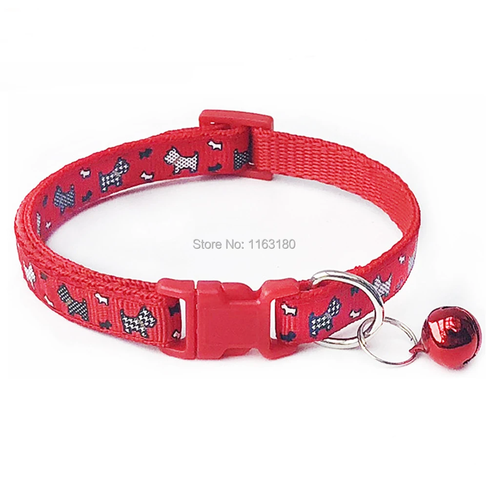 9354774370_1295703088