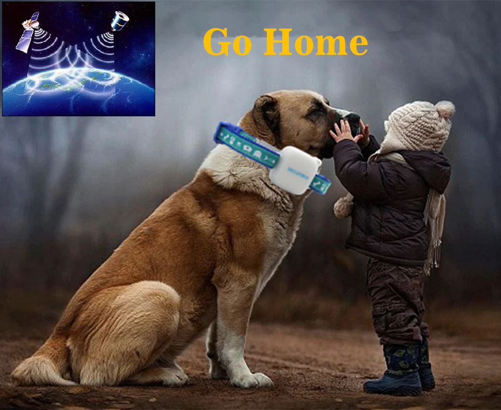 

MiNi Portable Pet GPS Locator Tracker GSM Rastreador Tracking Device Also Can Use for Kids Elder Car Motorcycle Real Time Alarm