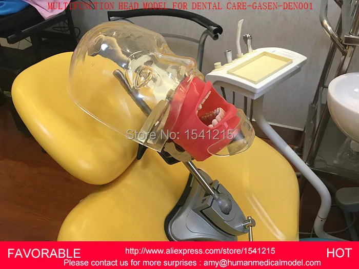 

DENTAL DISEASE TOOTH TEACHING MODEL,DENTAL EQUIPMENT,MEDICAL ORAL CARE TOOL TEETH MODEL EQUIPMENT, DENTAL CARE-GASEN-DEN001