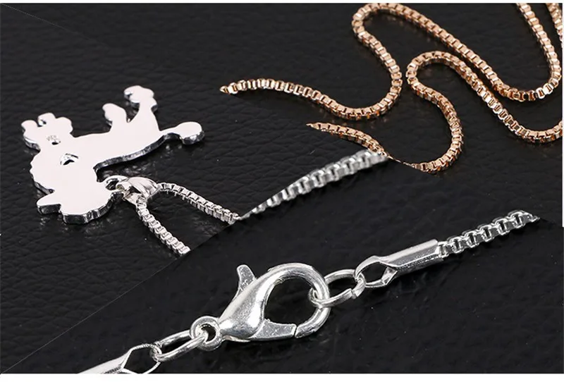 2812961762_1522501699