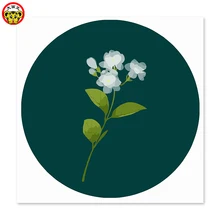 Картина по номерам художественная краска по номеру Мисти белые цветы в лунном свете нарисованная на холсте цифровая краска ing известные краски ings Ab